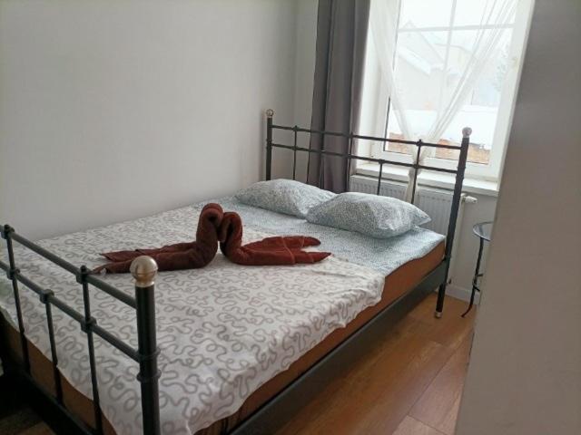 Fly Adventures- Dom Wedkarza Apartment Lesna Exterior photo